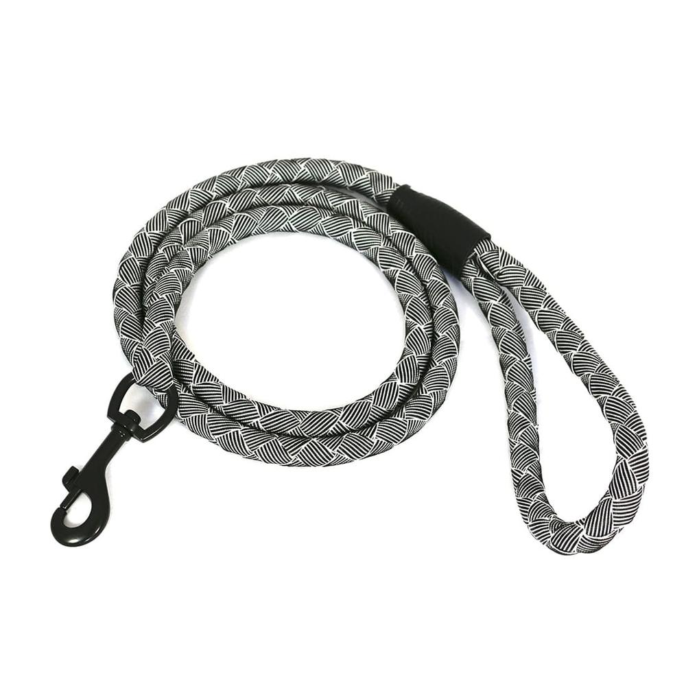 lightweight chain dog leash