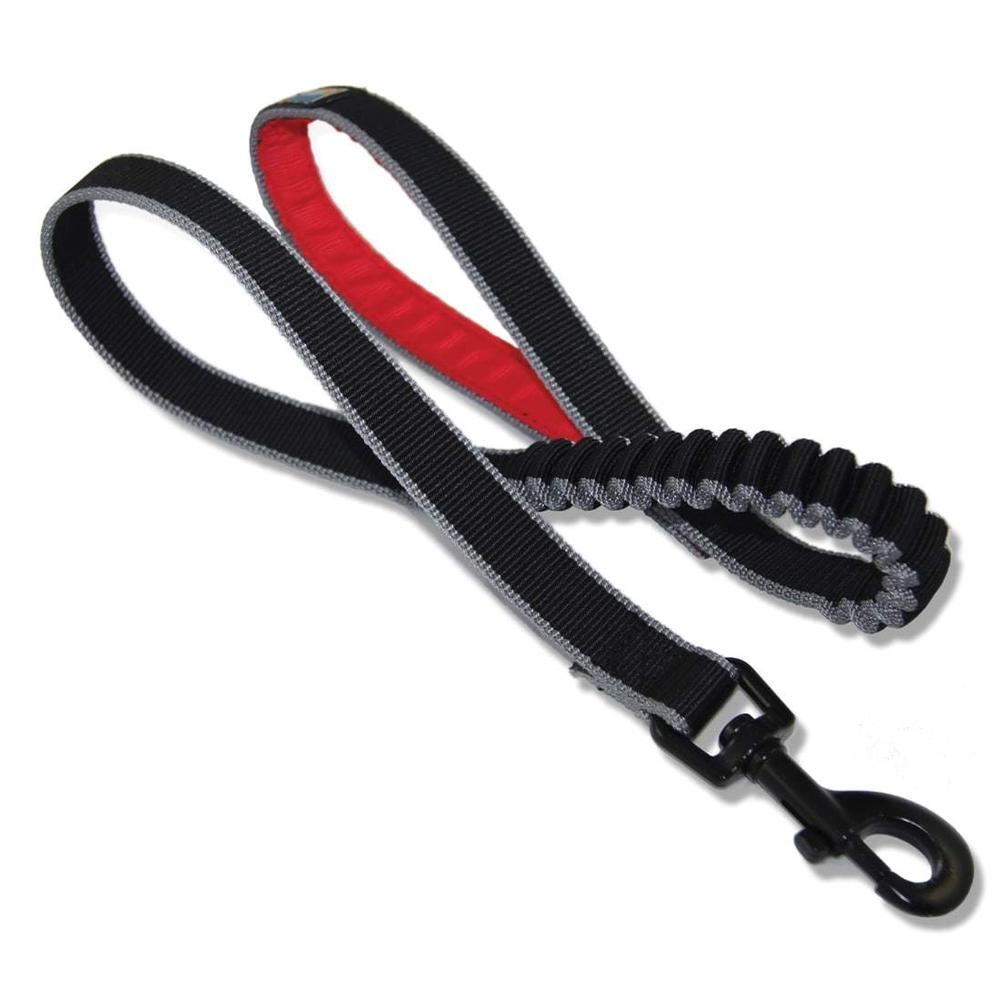 kurgo ascender leash